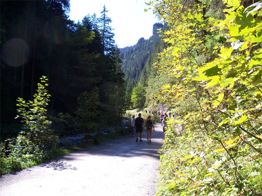 Dolina Kościeliska (Autor: Jacek Biernacki, CC BY-SA 3.0) Dolina Kościeliska (Autor: Jacek Biernacki, CC BY-SA 3.0)