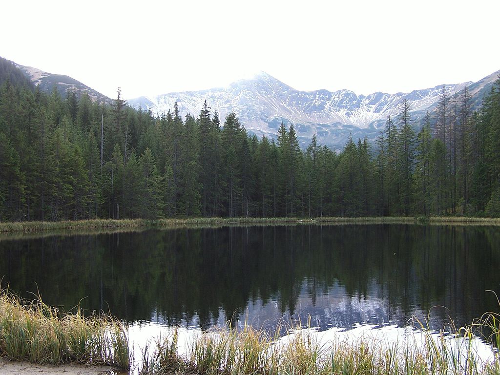 Smreczyński Staw (Autor: Jerzy Opioła, CC BY 2.5) Smreczyński Staw (Autor: Jerzy Opioła, CC BY 2.5)