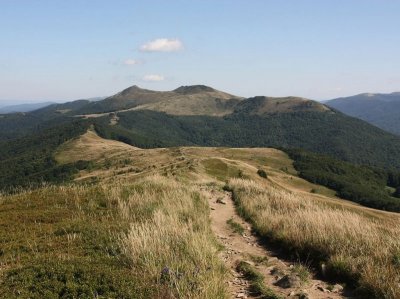 Połonina Wetlińska (Autor: Marcin, CC BY-SA 4.0)