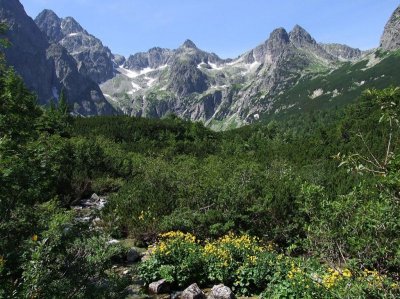 Zielona Dolina Kieżmarska (Autor: Jerzy Opioła, Public Domain) Zielona Dolina Kieżmarska (Autor: Jerzy Opioła, Public Domain)