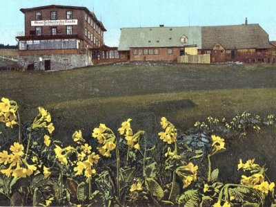 Schronisko na starej pocztówce z 1911 (Public Domain) Schronisko na starej pocztówce z 1911 (Public Domain)